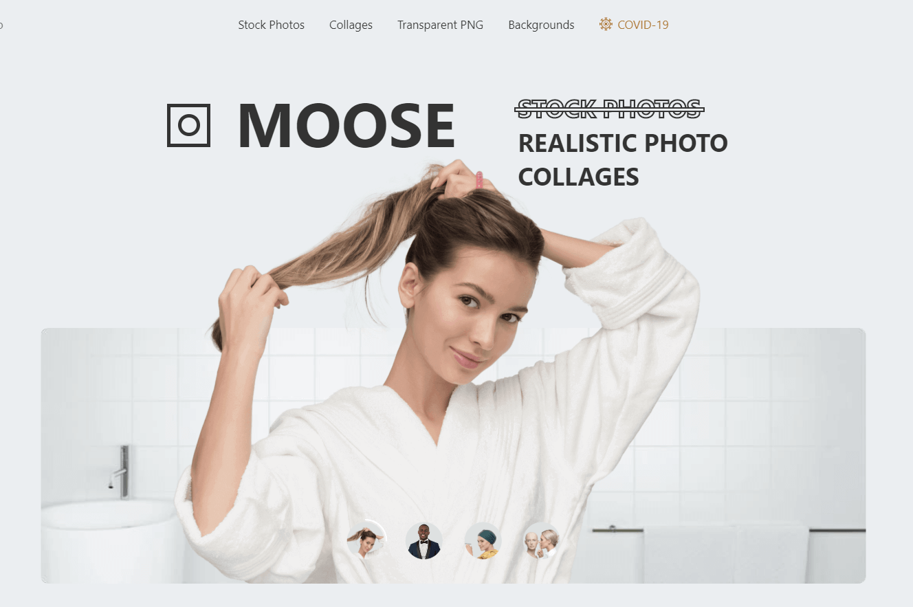 Moose - Best Website For Stock Photos 