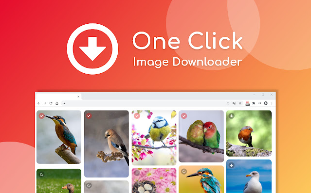 one click; Image Downloader Extensions