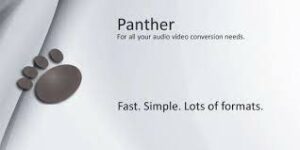 PANTHER VIDEO CONVERTER