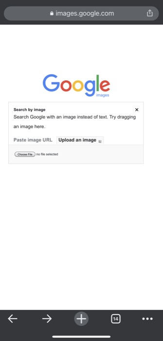 reverse image search using iPhone